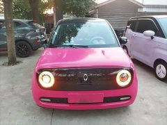 ORA Black Cat 351km Luxury - ფოტო 3