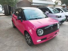 ORA Black Cat 351km Luxury - ფოტო 4