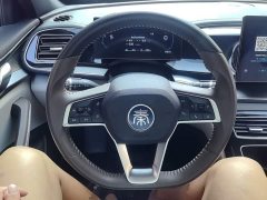 BYD Qin PLUS Champion Edition DM-i 55KM Exceed - ფოტო 11