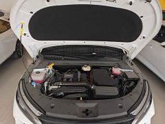 BYD Qin L DM-i 128KM Entry-Level - ფოტო 20