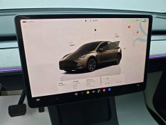 Tesla Model Y Rear-Wheel Drive - ფოტო 12