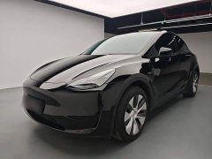 Tesla Model Y Rear-Wheel Drive - ფოტო 2