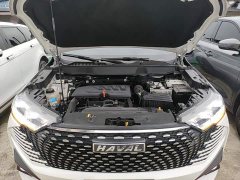 Haval H6 2021 Third Generation 1.5T Automatic Two-Wheel Drive Supreme - ფოტო 20