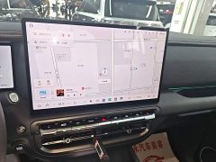 Tank 300 New Energy Hi4-T 37.1kWh - ფოტო 9