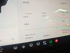 Tesla Model 3 Standard Range RWD Upgrade 3D6 - ფოტო 12