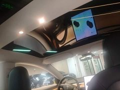 Tesla Model 3 Standard Range RWD Upgrade 3D6 - ფოტო 18