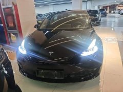 Tesla Model 3 Standard Range RWD Upgrade 3D6 - ფოტო 3