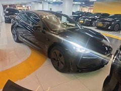 Tesla Model 3 Standard Range RWD Upgrade 3D6 - ფოტო 4
