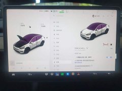 Tesla Model Y 2021 Standard Range RWD - ფოტო 12