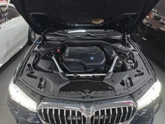 BMW 5 Series Facelift 530Li M Sport Luxury - ფოტო 20