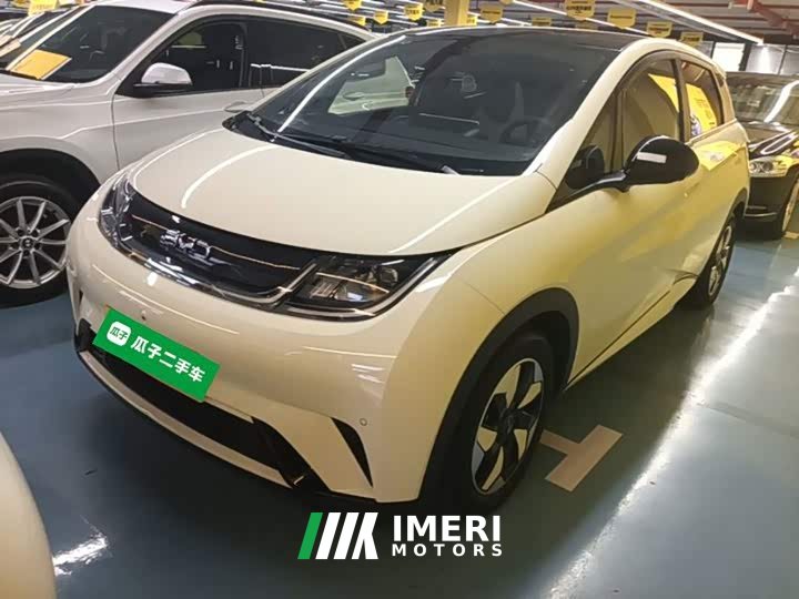 BYD Dolphin 2024 Glory Edition 420km Fashion Version - ავტომობილი ჩინეთიდან