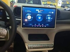 BYD Dolphin 2024 Glory Edition 420km Fashion Version - ფოტო 13