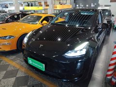 Tesla Model Y 2022 Facelift Rear-Wheel Drive - ფოტო 1