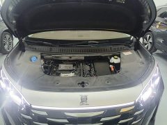 BYD Xia DM-i 1.5T 180km Excellence - ფოტო 16