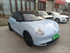 ORA Good Cat 500km Long Range Prestigious Edition Ternary Lithium - ფოტო 4