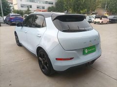 ORA Good Cat 500km Long Range Prestigious Edition Ternary Lithium - ფოტო 5