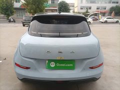 ORA Good Cat 500km Long Range Prestigious Edition Ternary Lithium - ფოტო 6