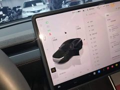 Tesla Model Y Rear-Wheel Drive - ფოტო 14
