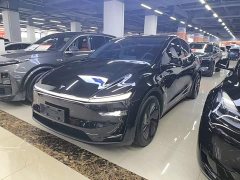 Tesla Model Y Rear-Wheel Drive - ფოტო 2