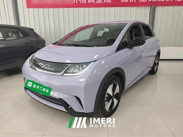 BYD Dolphin 420km Freedom Edition - ავტომობილი ჩინეთიდან