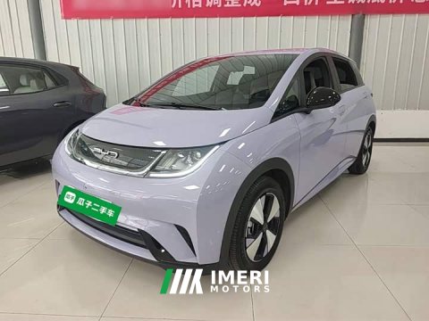2023 BYD Dolphin 420km Freedom Edition - ავტომობილი ჩინეთიდან