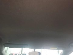 BYD Dolphin 420km Freedom Edition - ფოტო 18