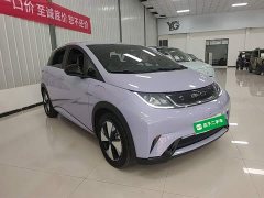 BYD Dolphin 420km Freedom Edition - ფოტო 4