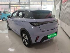 BYD Dolphin 420km Freedom Edition - ფოტო 5