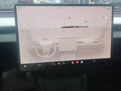 Tesla Model 3 2023 Rear-Wheel Drive - ფოტო 13