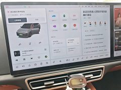 Li Auto L7 Pro - ფოტო 13