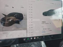 Tesla Model Y 2025 Rear-Wheel Drive Launch Edition - ფოტო 12