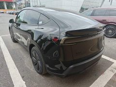 Tesla Model Y 2025 Rear-Wheel Drive Launch Edition - ფოტო 5
