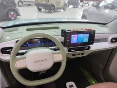Geely Panda Mini 210km Vitality Edition - ფოტო 10