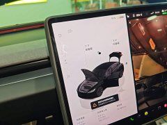 Tesla Model 3 Rear-Wheel Drive - ფოტო 14