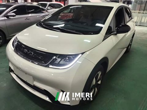 2024 BYD Dolphin Glory Edition 420km Freedom Version - ავტომობილი ჩინეთიდან