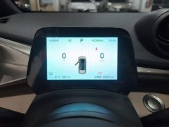 BYD Dolphin Glory Edition 420km Freedom Version - ფოტო 12
