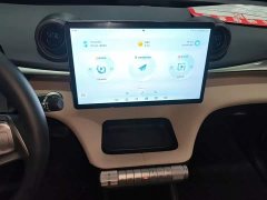 BYD Dolphin Glory Edition 420km Freedom Version - ფოტო 13