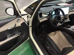 BYD Dolphin Glory Edition 420km Freedom Version - ფოტო 16