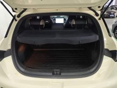 BYD Dolphin Glory Edition 420km Freedom Version - ფოტო 19
