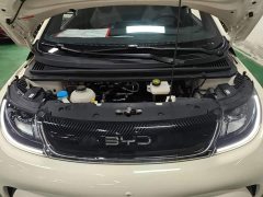 BYD Dolphin Glory Edition 420km Freedom Version - ფოტო 20