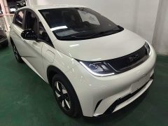 BYD Dolphin Glory Edition 420km Freedom Version - ფოტო 4