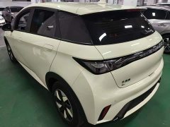 BYD Dolphin Glory Edition 420km Freedom Version - ფოტო 5