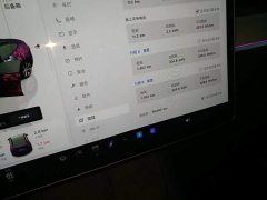 Tesla Model Y Rear-Wheel Drive - ფოტო 12