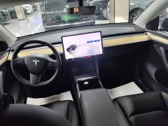 Tesla Model Y Long Range All-Wheel Drive 3D7 - ფოტო 10