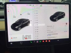 Tesla Model Y Long Range All-Wheel Drive 3D7 - ფოტო 12
