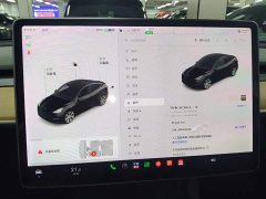 Tesla Model Y Long Range All-Wheel Drive 3D7 - ფოტო 13