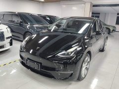 Tesla Model Y Long Range All-Wheel Drive 3D7 - ფოტო 2