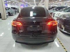 Tesla Model Y Long Range All-Wheel Drive 3D7 - ფოტო 6