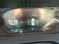 Wuling Xingchen 1.5T CVT Star Shine Edition - ფოტო 12