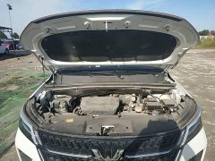 Wuling Xingchen 1.5T CVT Star Shine Edition - ფოტო 20